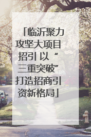临沂聚力攻坚大项目招引 以“三重突破”打造招商引资新格局