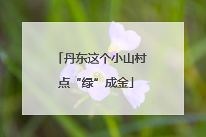 丹东这个小山村点“绿”成金