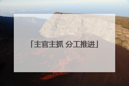 主官主抓 分工推进