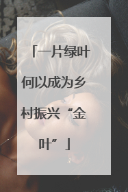 一片绿叶何以成为乡村振兴“金叶”