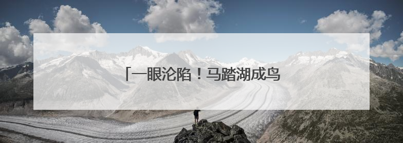 一眼沦陷！马踏湖成鸟类诗意栖居地，太美了