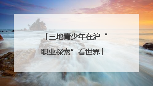 三地青少年在沪“职业探索”看世界
