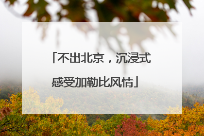 不出北京，沉浸式感受加勒比风情