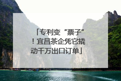 专利变“票子”！宜昌茶企凭它撬动千万出口订单
