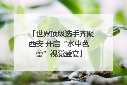 世界顶级选手齐聚西安 开启“水中芭蕾”视觉盛宴