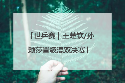 世乒赛｜王楚钦/孙颖莎晋级混双决赛