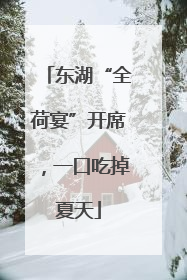 东湖“全荷宴”开席，一口吃掉夏天