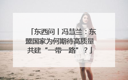 东西问丨冯慧兰：东盟国家为何期待高质量共建“一带一路”？