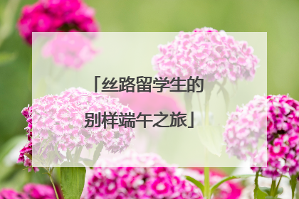 丝路留学生的别样端午之旅
