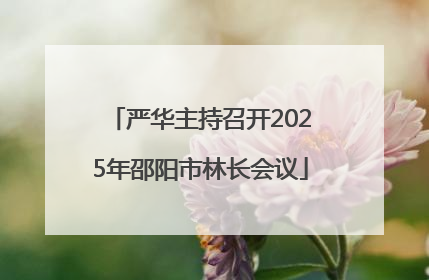 严华主持召开2025年邵阳市林长会议