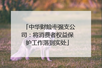 中华财险枣强支公司：将消费者权益保护工作落到实处