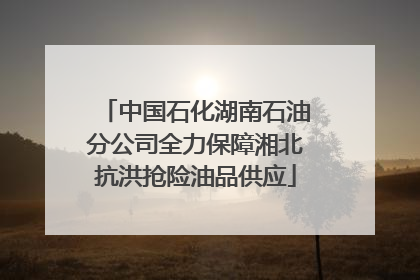 中国石化湖南石油分公司全力保障湘北抗洪抢险油品供应