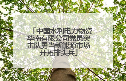 中国水利电力物资华南有限公司党员突击队勇当新能源市场开拓排头兵
