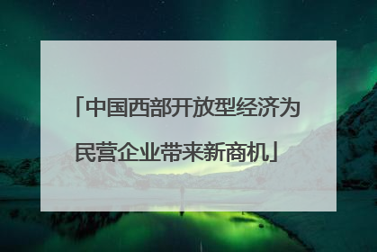 中国西部开放型经济为民营企业带来新商机