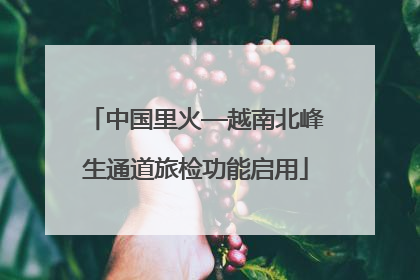 中国里火—越南北峰生通道旅检功能启用