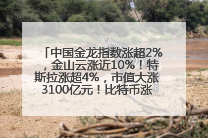 中国金龙指数涨超2%，金山云涨近10%！特斯拉涨超4%，市值大涨3100亿元！比特币涨回11万美元关口