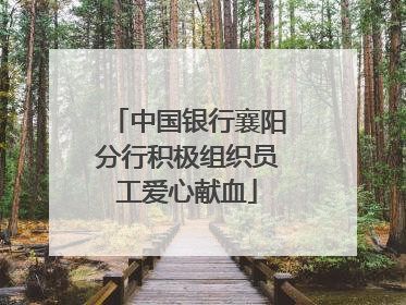 中国银行襄阳分行积极组织员工爱心献血