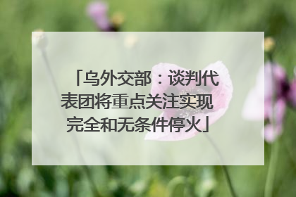 乌外交部：谈判代表团将重点关注实现完全和无条件停火