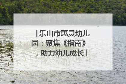 乐山市惠灵幼儿园：聚焦《指南》，助力幼儿成长