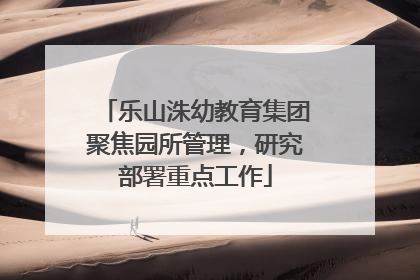 乐山洙幼教育集团聚焦园所管理，研究部署重点工作