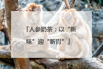 人参奶茶：以“新味”迎“新胃”