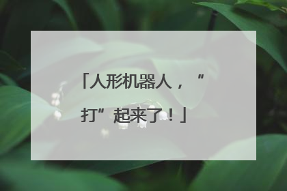 人形机器人，“打”起来了！