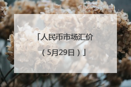 人民币市场汇价（5月29日）