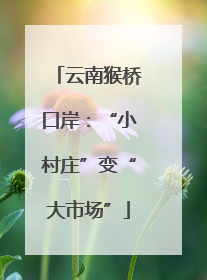 云南猴桥口岸：“小村庄”变“大市场”