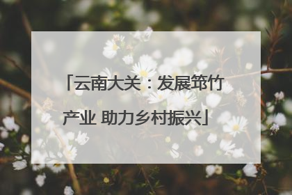 云南大关：发展筇竹产业 助力乡村振兴