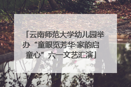 云南师范大学幼儿园举办“童眼览芳华·家韵启童心”六一文艺汇演