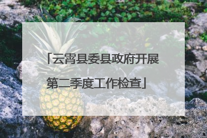 云霄县委县政府开展第二季度工作检查
