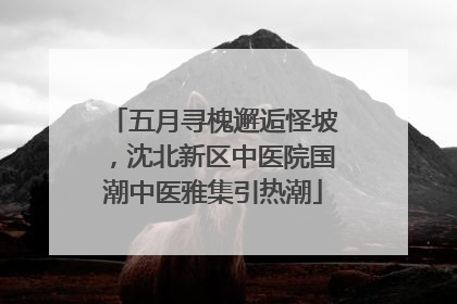 五月寻槐邂逅怪坡，沈北新区中医院国潮中医雅集引热潮