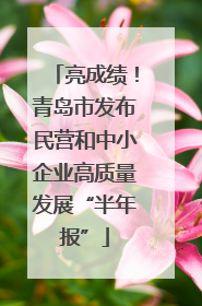 亮成绩！青岛市发布民营和中小企业高质量发展“半年报”