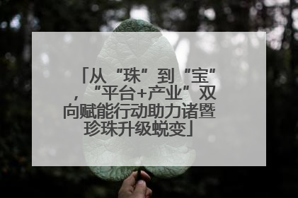 从“珠”到“宝”，“平台+产业”双向赋能行动助力诸暨珍珠升级蜕变