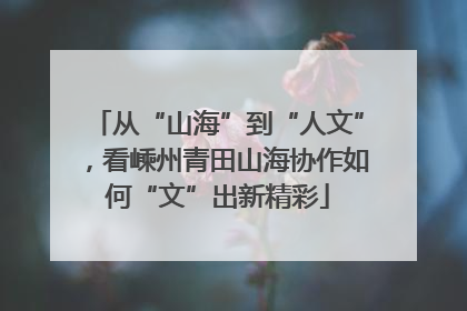 从“山海”到“人文”，看嵊州青田山海协作如何“文”出新精彩