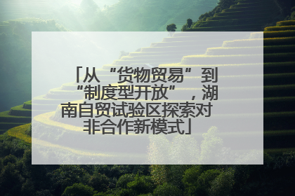 从“货物贸易”到“制度型开放”，湖南自贸试验区探索对非合作新模式