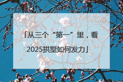 从三个“第一”里，看2025拱墅如何发力