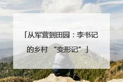 从军营到田园：李书记的乡村 “变形记”