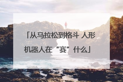 从马拉松到格斗 人形机器人在“赛”什么