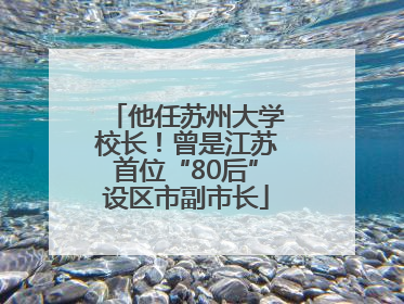 他任苏州大学校长！曾是江苏首位“80后”设区市副市长