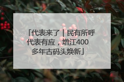 代表来了｜民有所呼代表有应，增江400多年古码头焕新