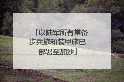 以陆军所有常备步兵旅和装甲旅已部署至加沙