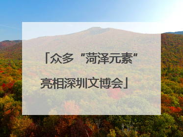 众多“菏泽元素”亮相深圳文博会