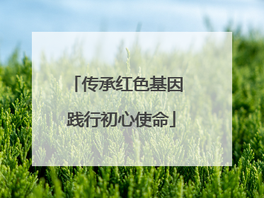 传承红色基因 践行初心使命