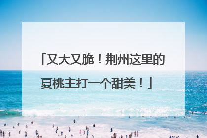 又大又脆！荆州这里的夏桃主打一个甜美！