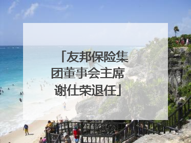 友邦保险集团董事会主席谢仕荣退任