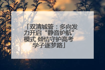 双清城管：多向发力开启“静音护航”模式 倾情守护高考学子逐梦路