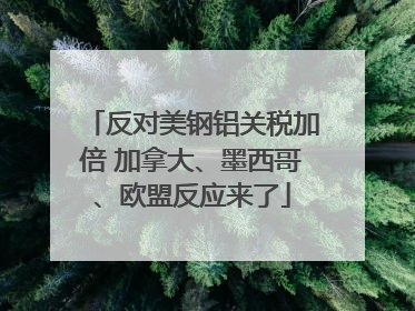 反对美钢铝关税加倍 加拿大、墨西哥、欧盟反应来了