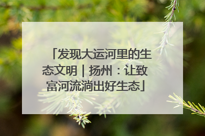 发现大运河里的生态文明｜扬州：让致富河流淌出好生态