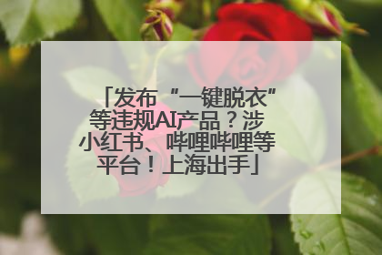 发布“一键脱衣”等违规AI产品？涉小红书、哔哩哔哩等平台！上海出手